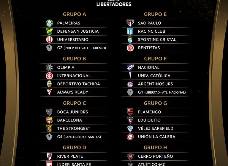 Copa Libertadores: ya se conoce la zona de grupos